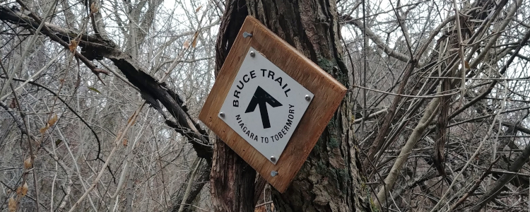 Bruce Trail Blaze